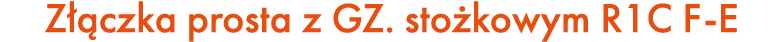 Z czka prosta z GZ. sto kowym R1C F E